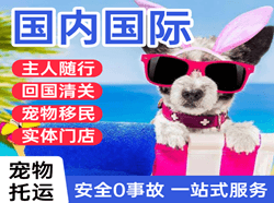 腾鳌空运国际宠物托运 【国